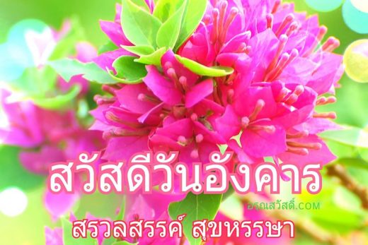 สวัสดีวันอังคาร