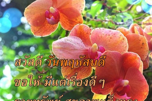สวัสดีวันพฤหัสบดี