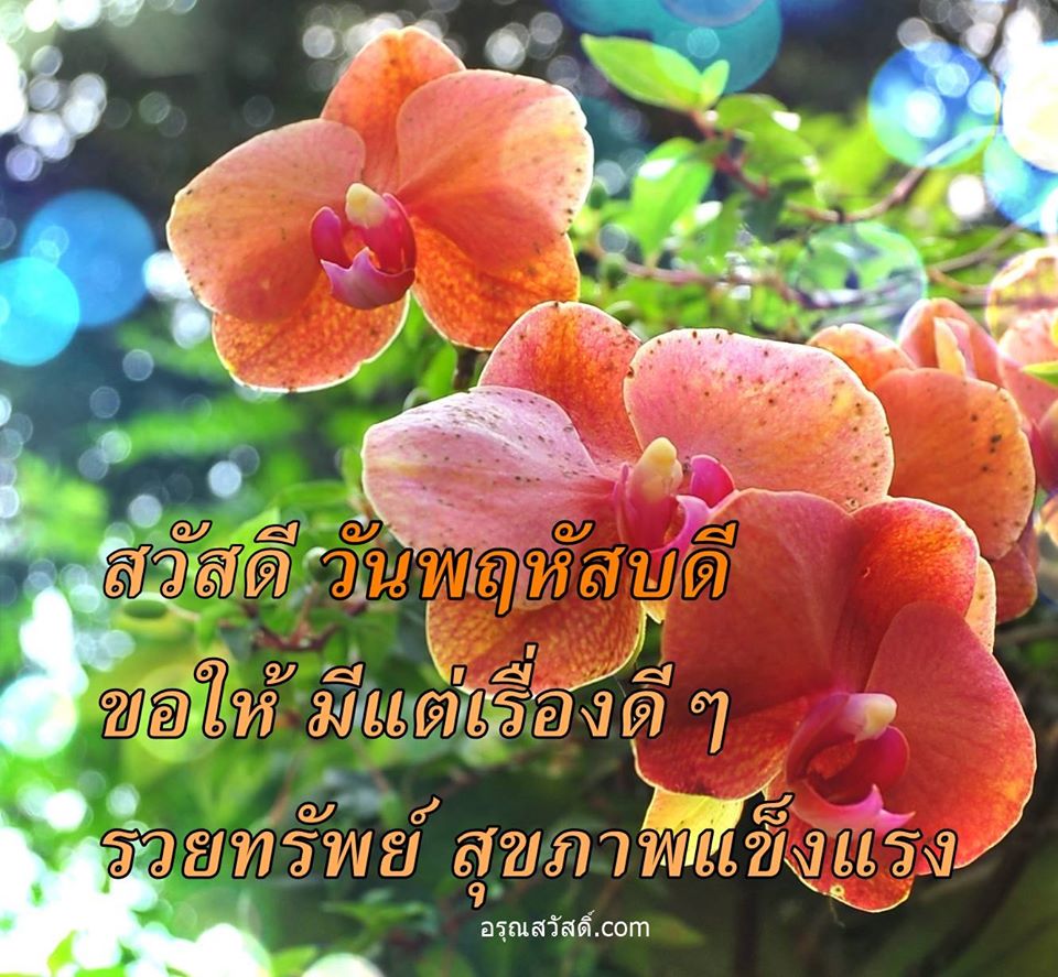สวัสดีวันพฤหัสบดี