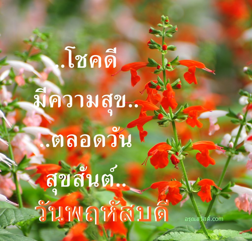 สวัสดีวันพฤหัสบดี