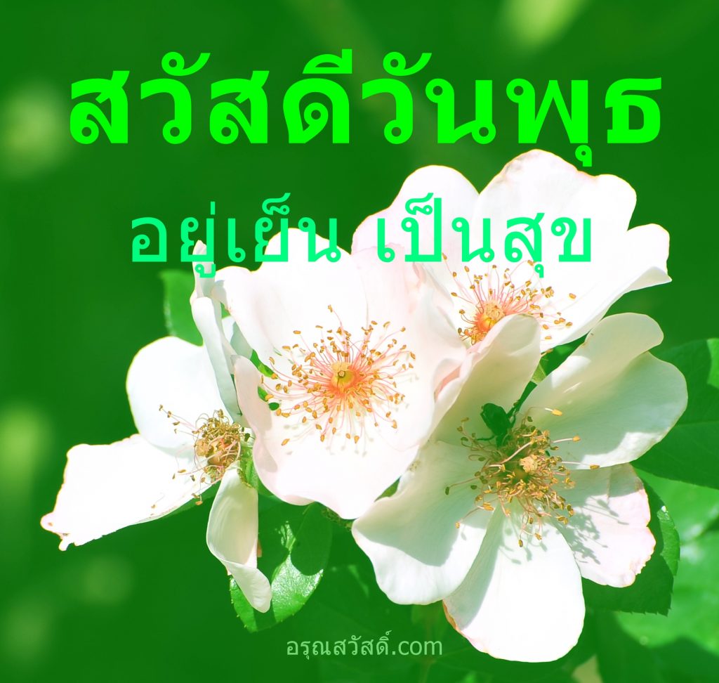 สวัสดีวันพุธ
