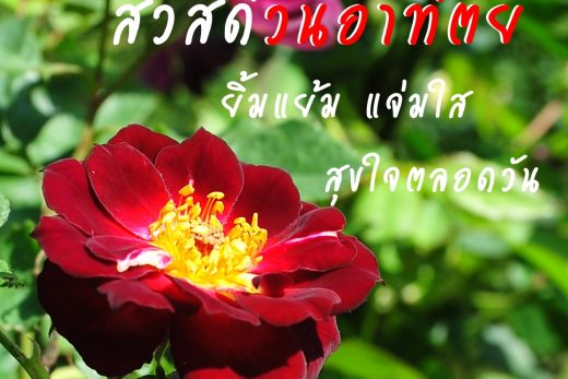 สวัสดีวันอาทิตย์