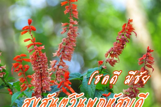 อรุณสวัสดิ์วันพฤหัสบดี