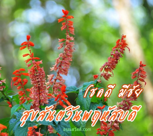 อรุณสวัสดิ์วันพฤหัสบดี