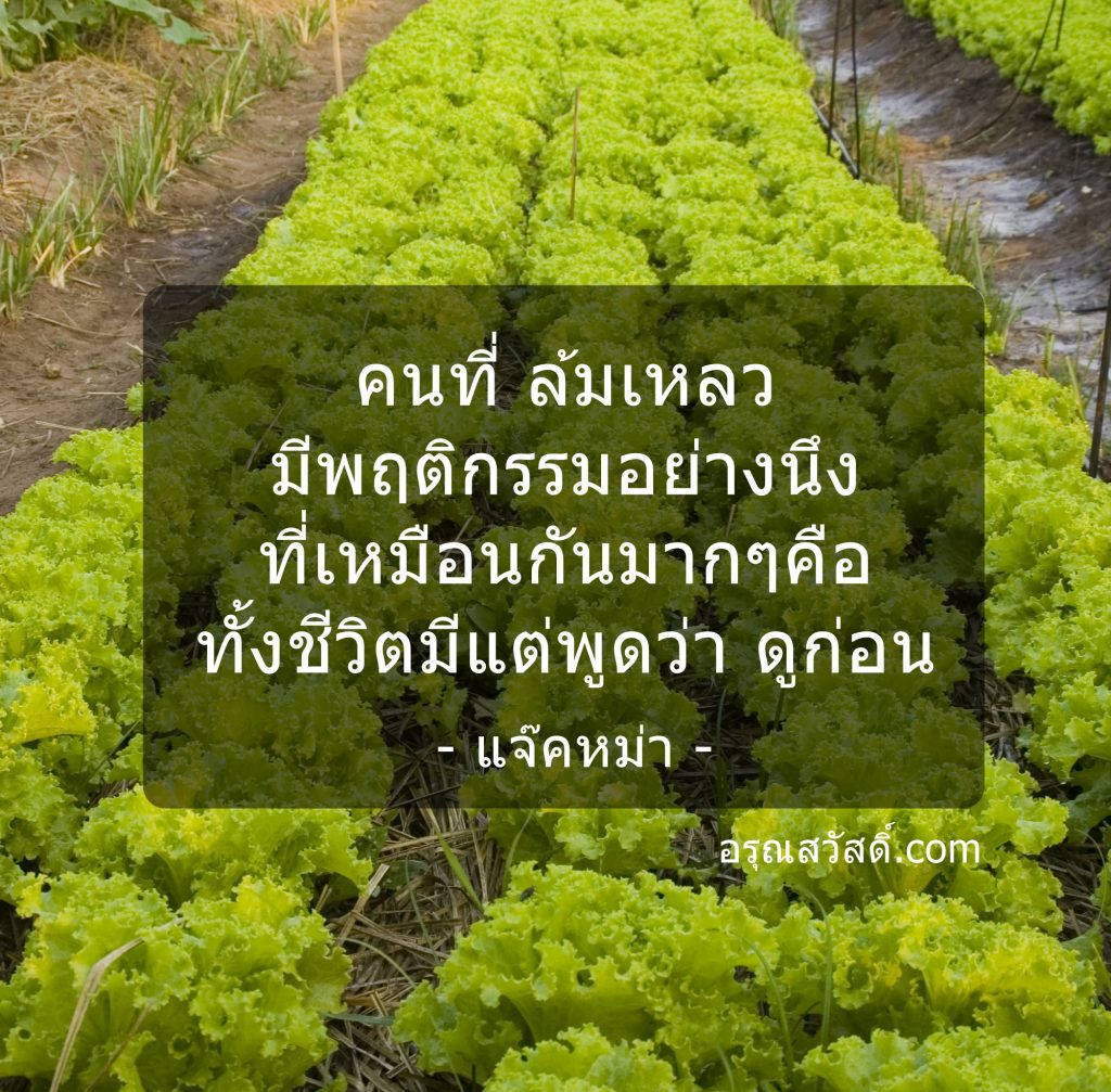 คำคม ชีวิต ความรัก และกำลังใจ