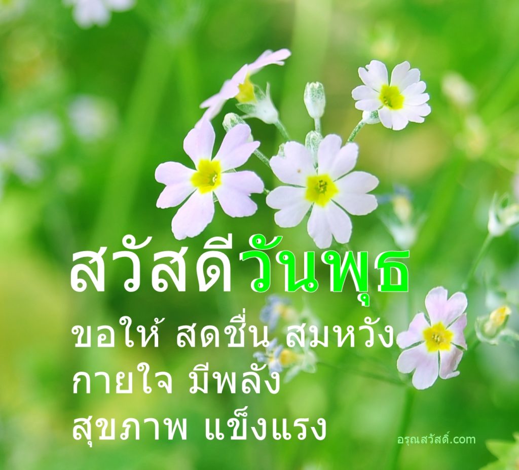 สวัสดีวันพุธ
