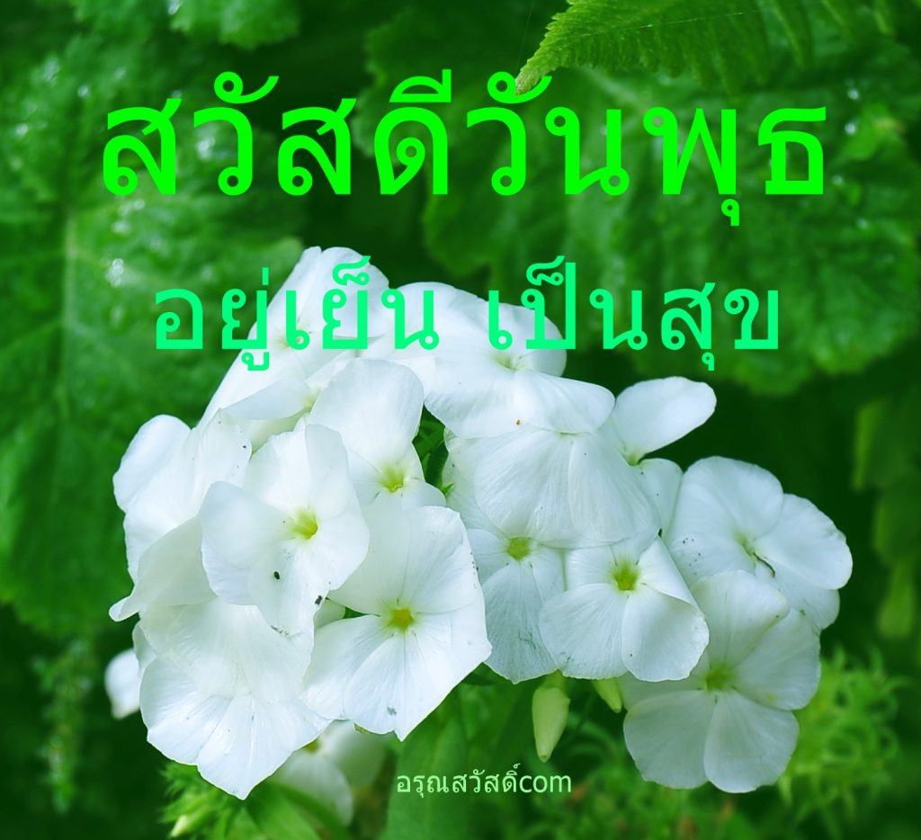 สวัสดีวันพุธ