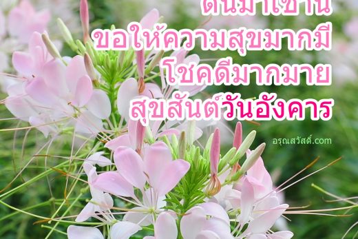 อรุณสวัสดิ์วันอังคาร