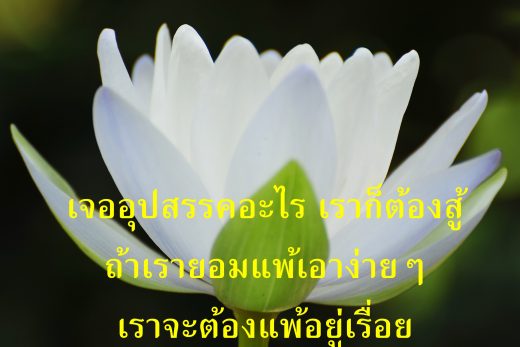 คำคม คำสอนพระ