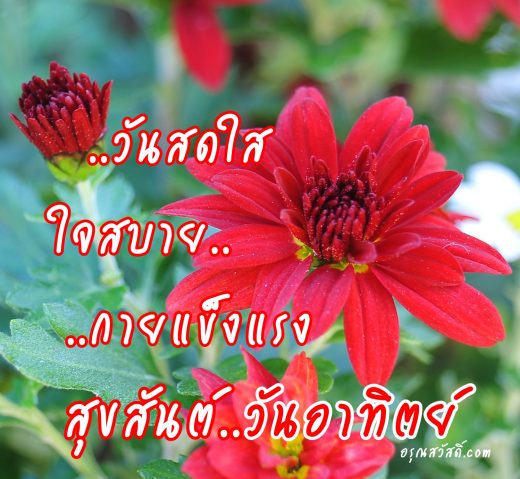 สวัสดีวันอาทิตย์