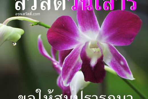 สวัสดีวันเสาร์