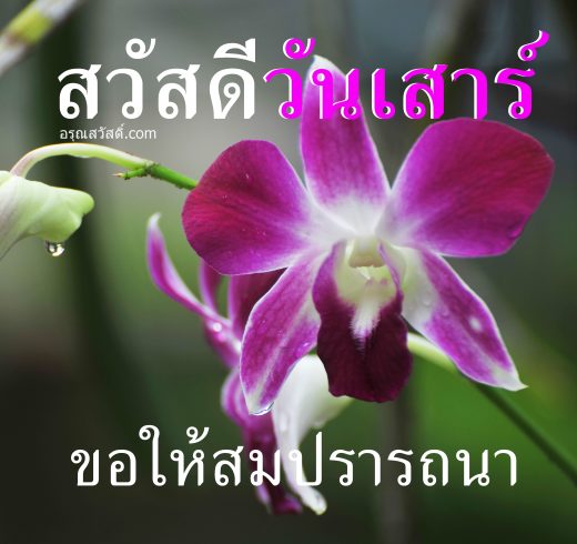สวัสดีวันเสาร์