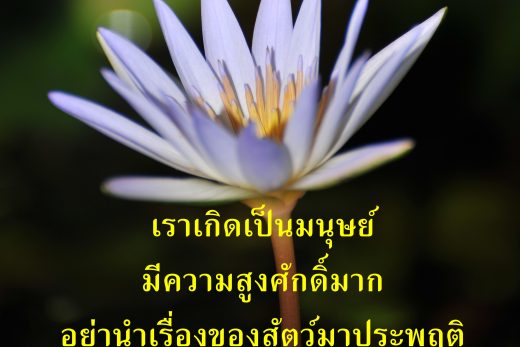 คำคม ธรรมมะ วันพระ