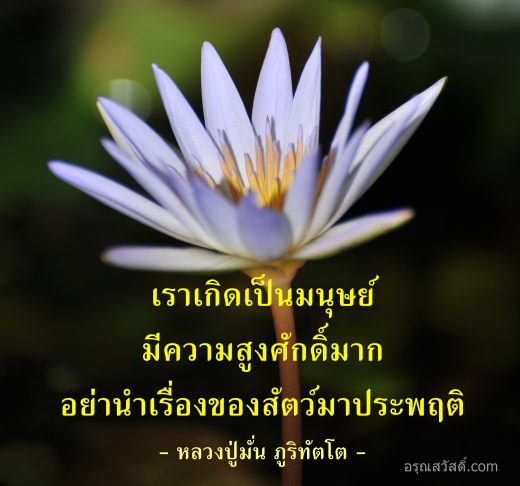 คำคม ธรรมมะ วันพระ