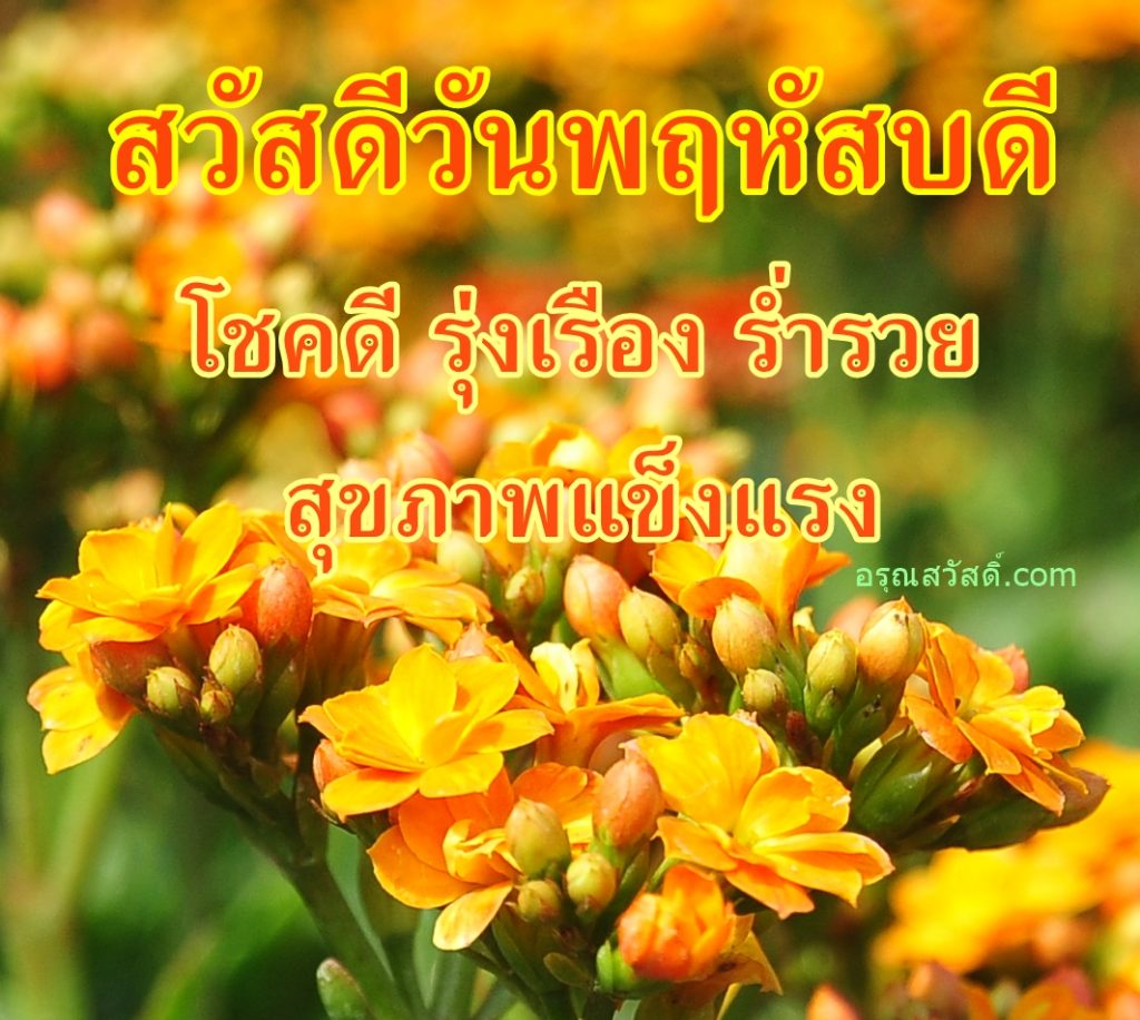 สวัสดีวันพฤหัสบดี