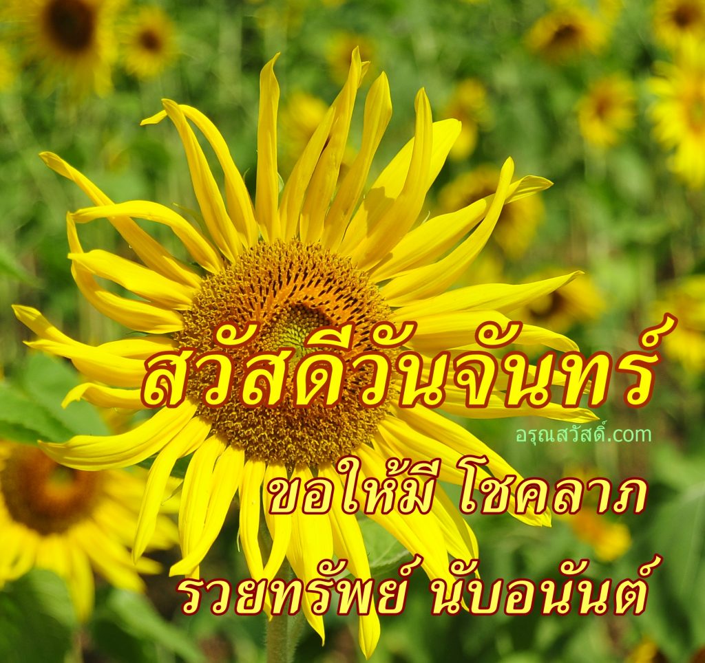 สวัสดีวันจันทร์