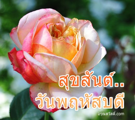 สวัสดีวันพฤหัสบดี