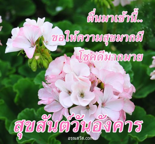 สวัสดีวันอังคาร