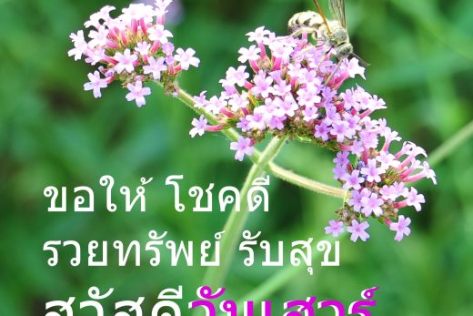 สวัสดีวันเสาร์
