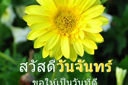 สวัสดีวันจันทร์