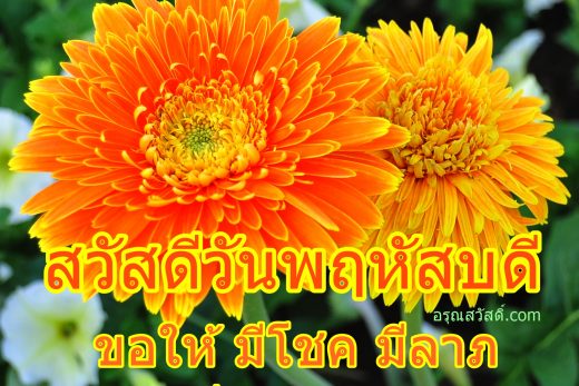 สวัสดีวันพฤหัสบดี