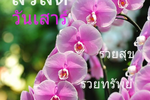 สวัสดีวันเสาร์