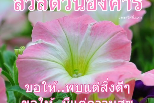 สวัสดีวันอังคาร