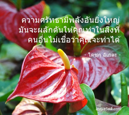 คำคมชีวิต
