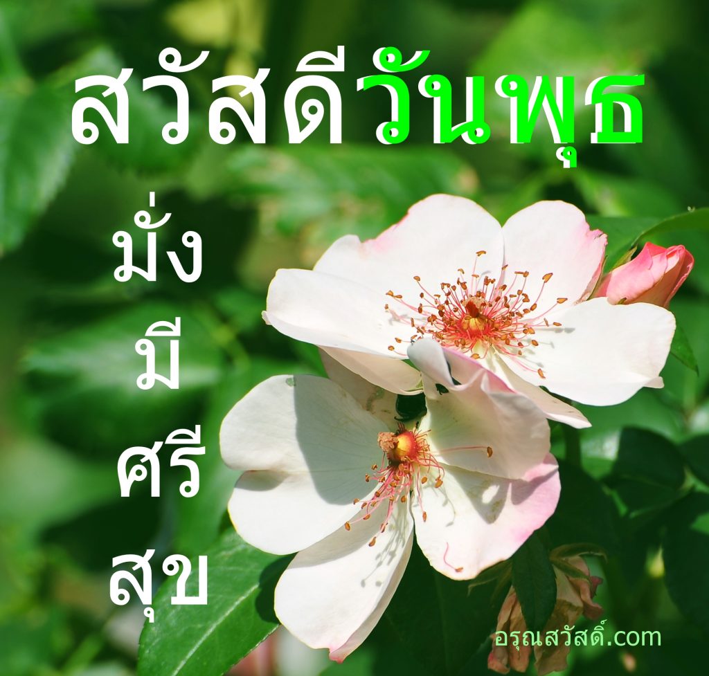 สวัสดีวันพุธ