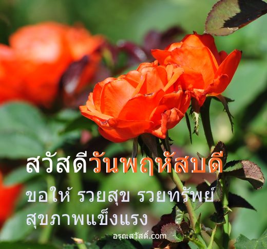 สวัสดีวันพฤหัสบดี