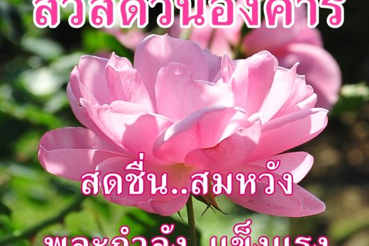 สวัสดีวันอังคาร