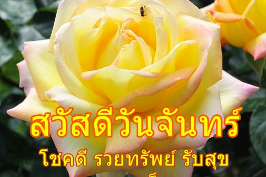 สวัสดีวันจันทร์