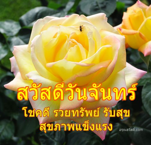 สวัสดีวันจันทร์