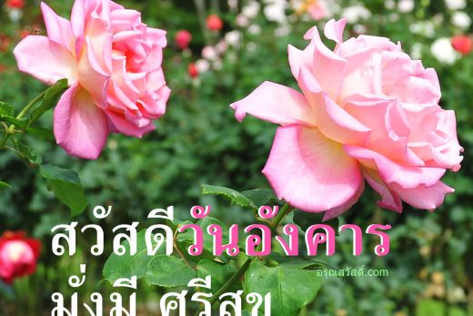 สวัสดีวันอังคาร