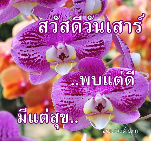 สวัสดีวันเสาร์