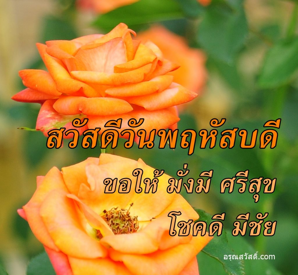 สวัสดีวันพฤหัสบดี