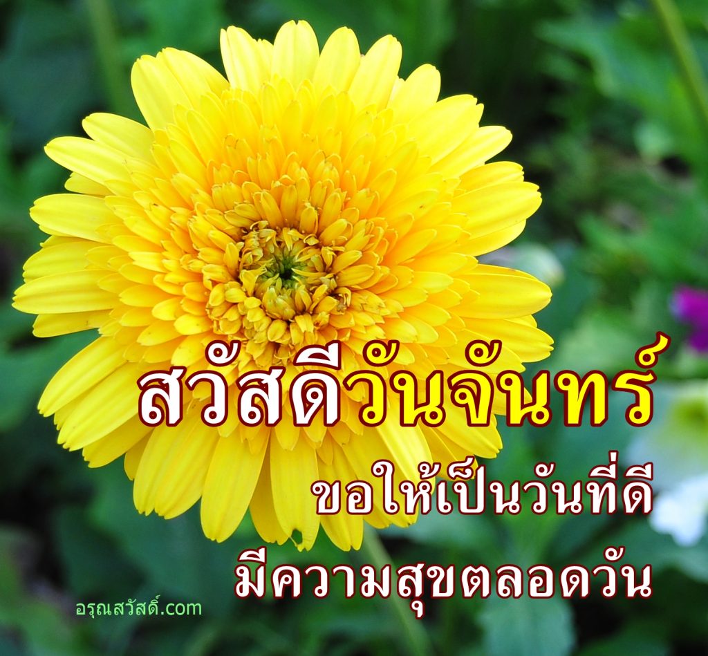สวัสดีวันจันทร์