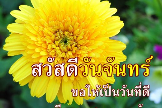 สวัสดีวันจันทร์