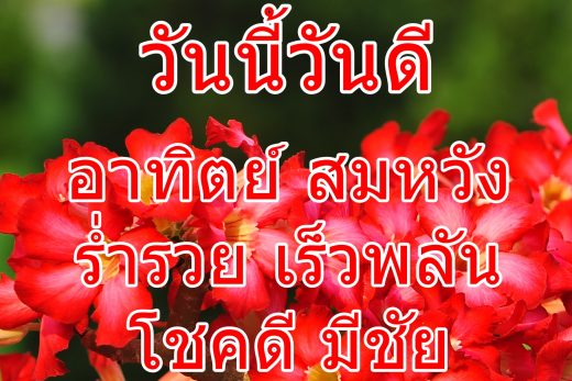 อรุณสวัสดิ์วันอาทิตย์