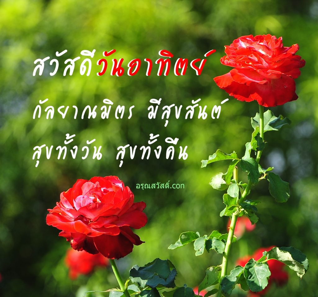 สวัสดีวันอาทิตย์