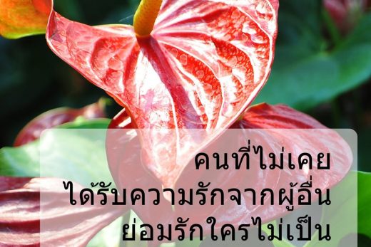 คำคมความรัก