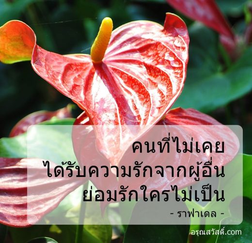 คำคมความรัก