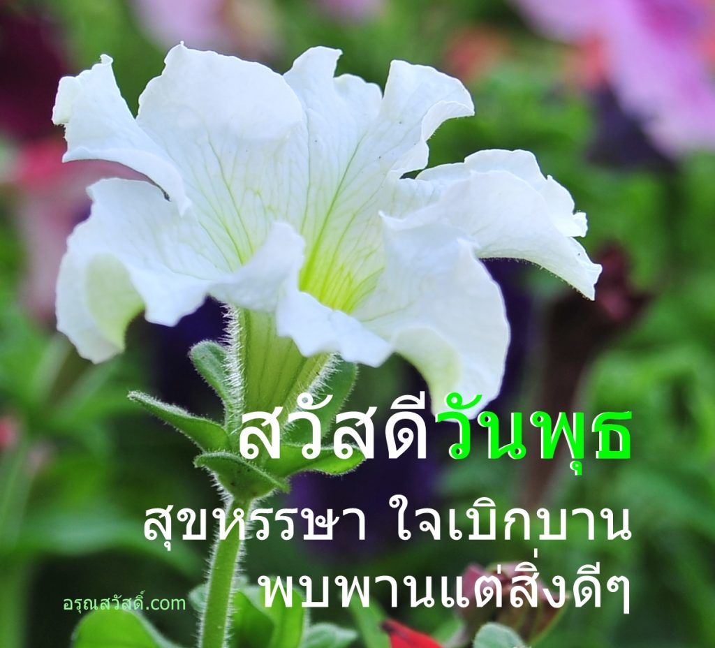สวัสดีวันพุธ