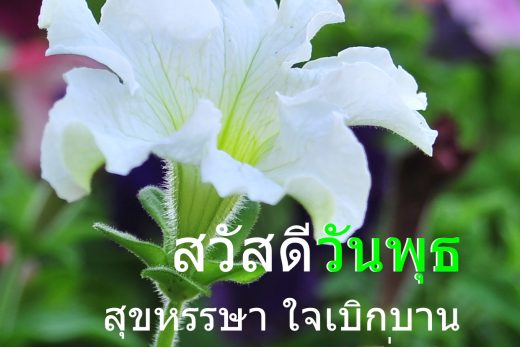 สวัสดีวันพุธ