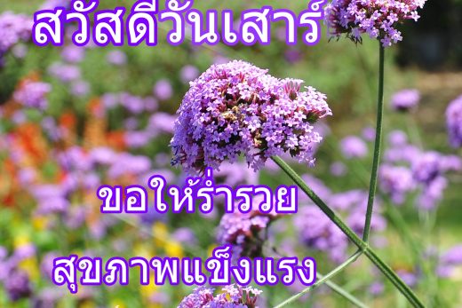 สวัสดีวันเสาร์