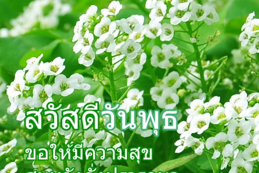 สวัสดีวันพุธ