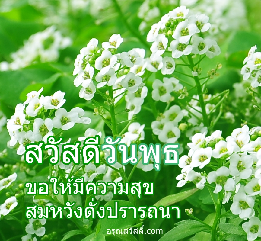 สวัสดีวันพุธ