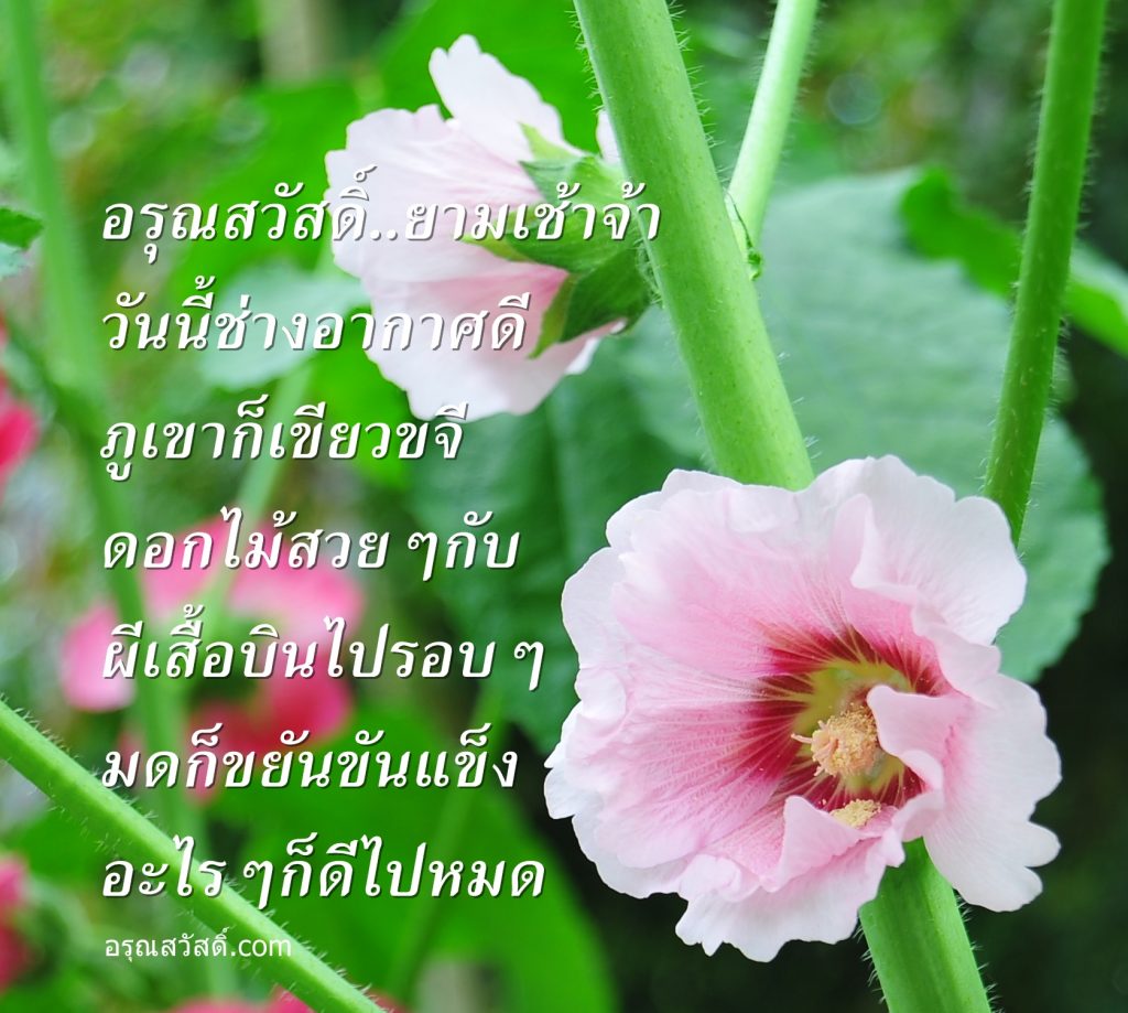 อรุณสวัสดิ์