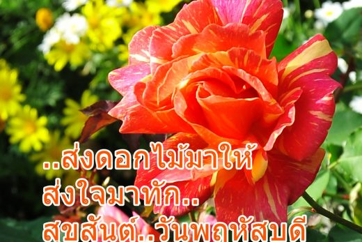 อรุณสวัสดิ์วันพฤหัสบดี