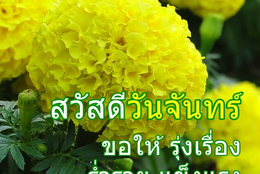 สวัสดีวันจันทร์